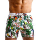 Taddlee Brand Men Swimwear Brazilian Cut - KASORP SHOP